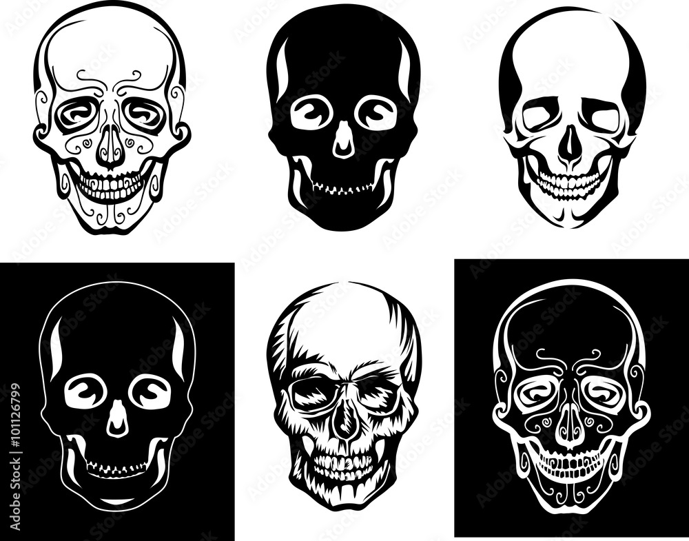 skull, illustration, symbol, stylized image, graphics