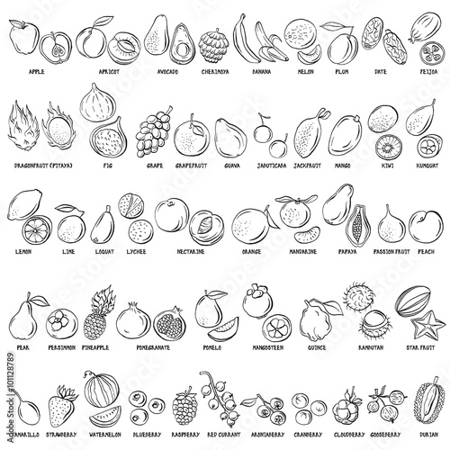 Hand drawn vector set of fruits and berries vintage illustrations.