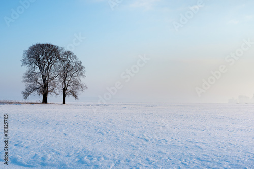 Snowy field. © Janis Smits