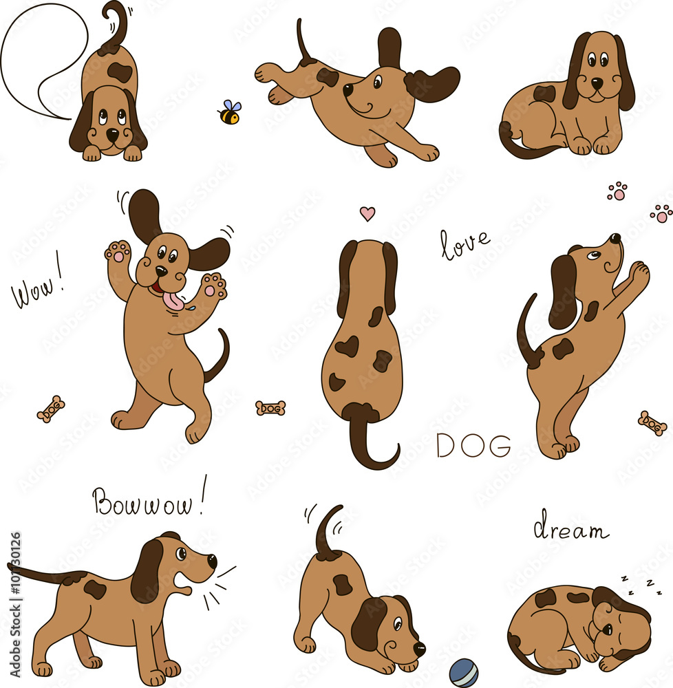 Set of images of a dog