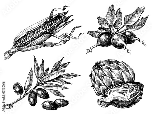 Vegetables set, isolated drawings black over white, etch style.