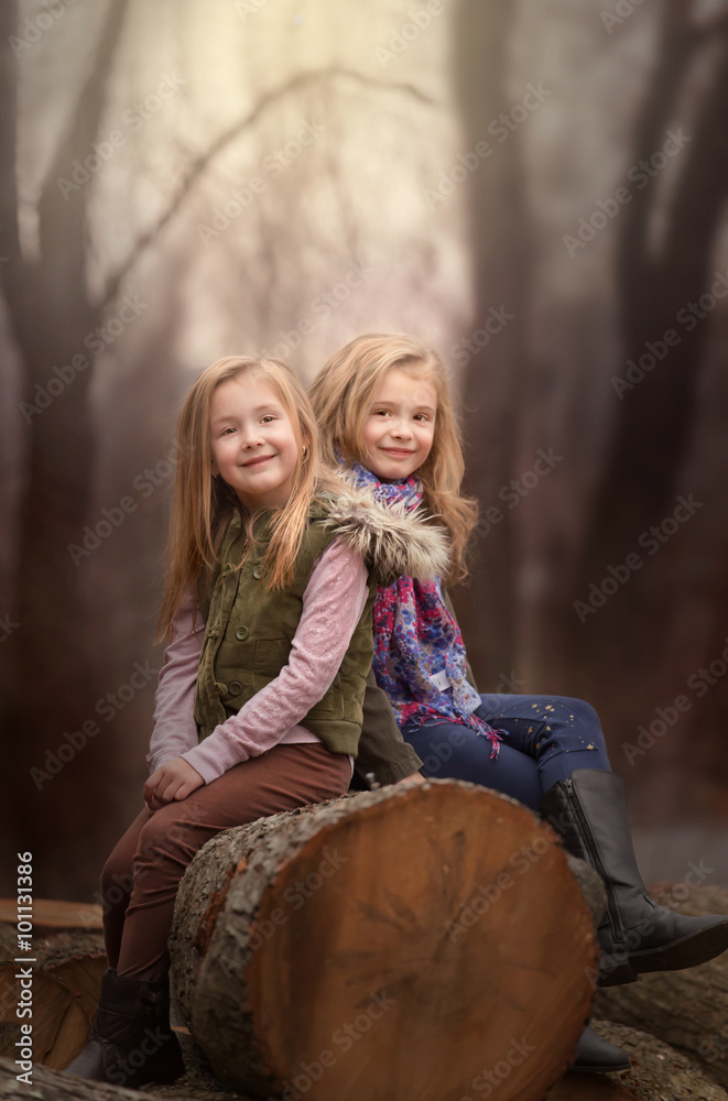 Φωτογραφία artistic outdoor portrait of two blond girls sitting on a log of tree in a woods
