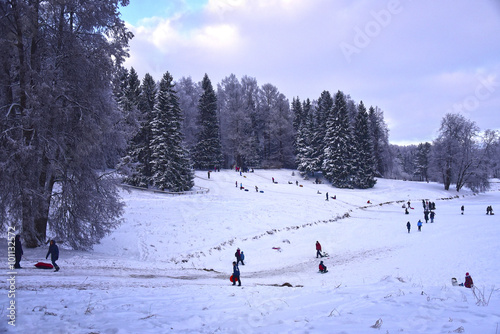 Pavlovsk, Russian Federation - January 2016: Pavlovsky Park on w