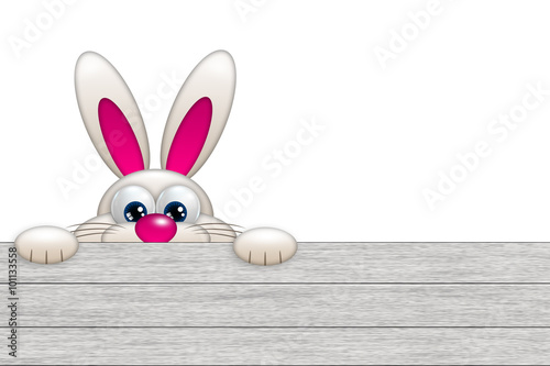 easter bunny looking by the wooden fence