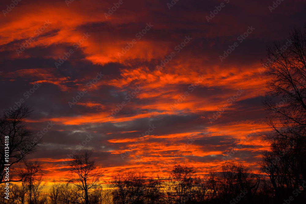 Beautiful orange sunset with dark clouds and trees silhouettes