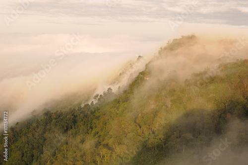 The Sea of Mist on the top of mountain, Thailand