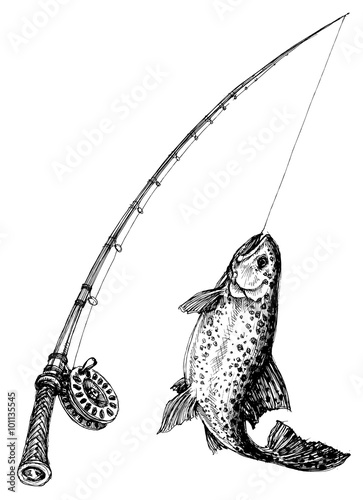 Fishing rod and fish isolated