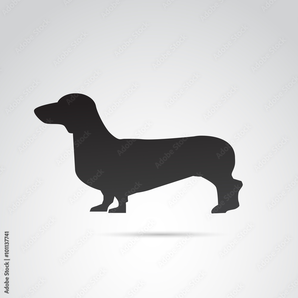 Daschund vector icon.