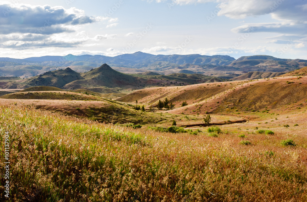 Naklejka premium John Day Fossil Beds National Monument