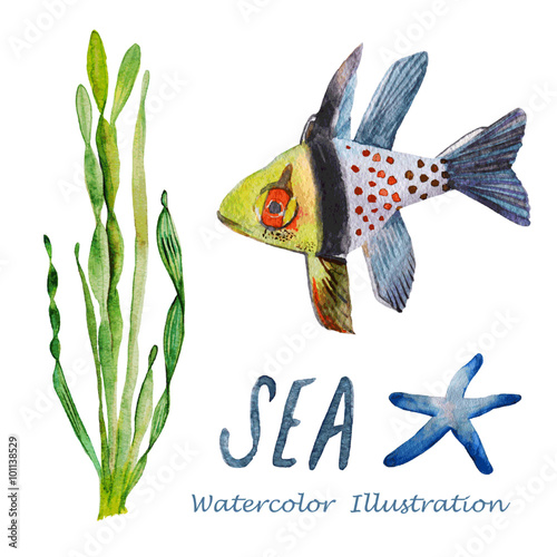 Watercolor tropical fish.