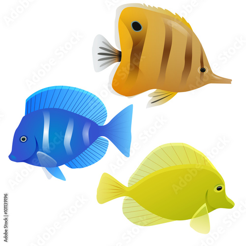 Set of tropical fish. Vector element for your design.