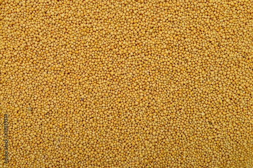 mustard seeds texture photo