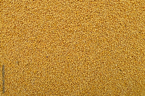 mustard seeds texture