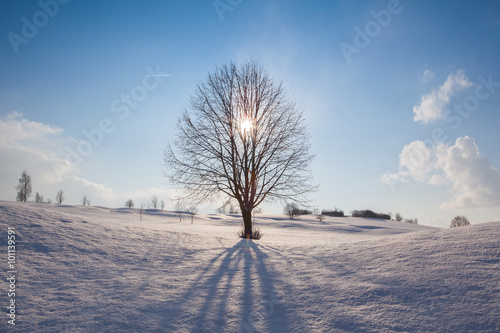 Winter landscape under blue sky