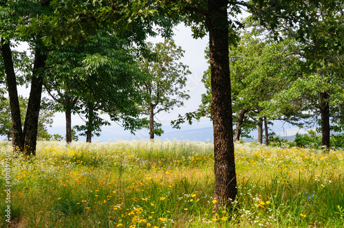 Petit Jean State Park photo