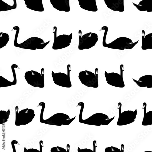 Fototapeta Naklejka Na Ścianę i Meble -  swans black shadows silhouette in lines pattern eps10