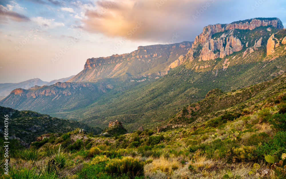 Big Bend National Park