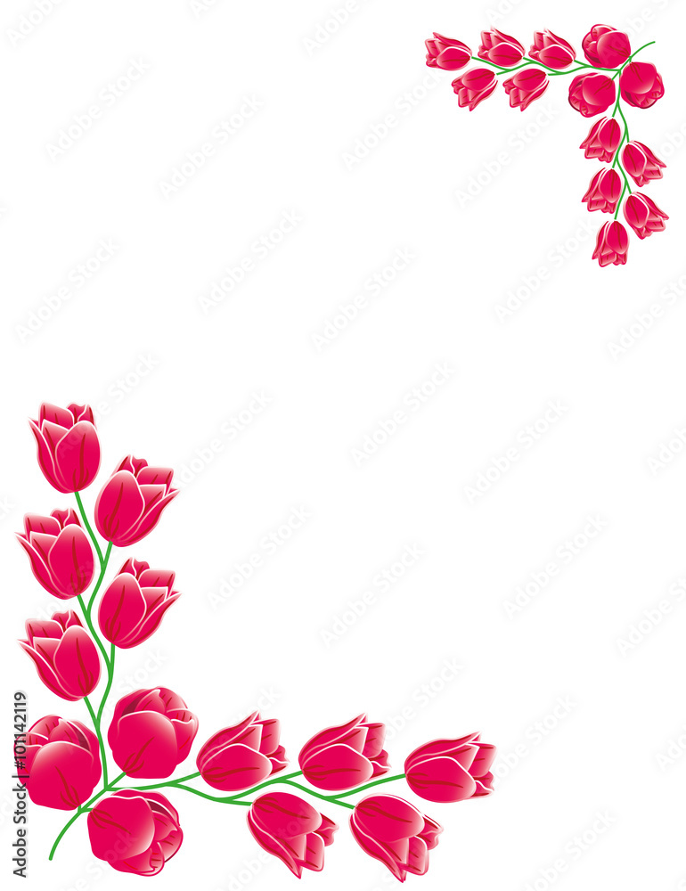 Red Tulips Frame Card illustration 