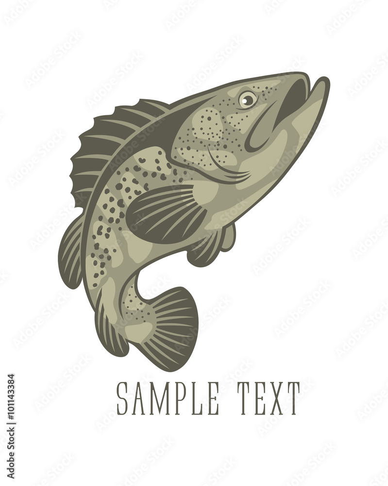 Fototapeta premium fish perch