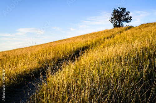 Theodore Roosevelt National Park,