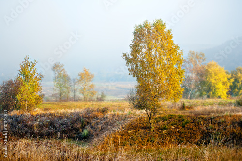 Golden autumn in the valley