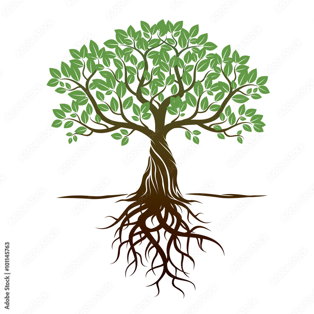 Obraz premium Drzewo kolorów i korzenie. Ilustracji wektorowych.