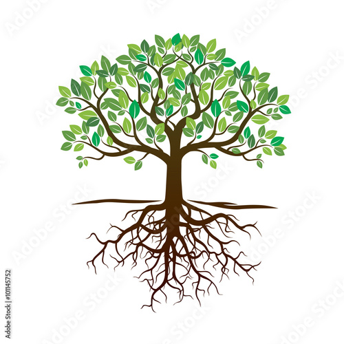 Color Tree and Roots. Vector Illustration.