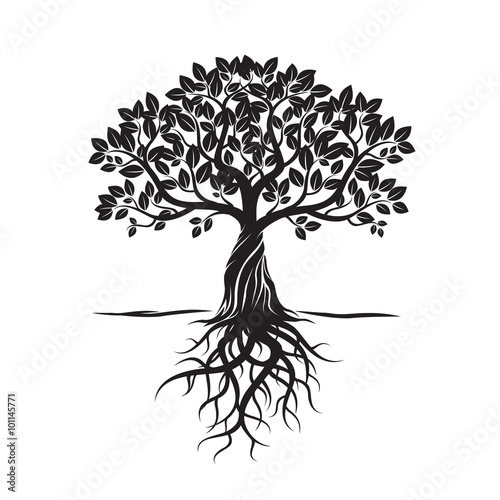 Black Tree and Roots. Vector Illustration.