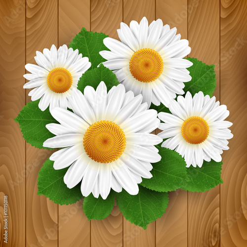 Fototapeta Naklejka Na Ścianę i Meble -  Small white flowers and leafs on a wooden background. Vector illustration.