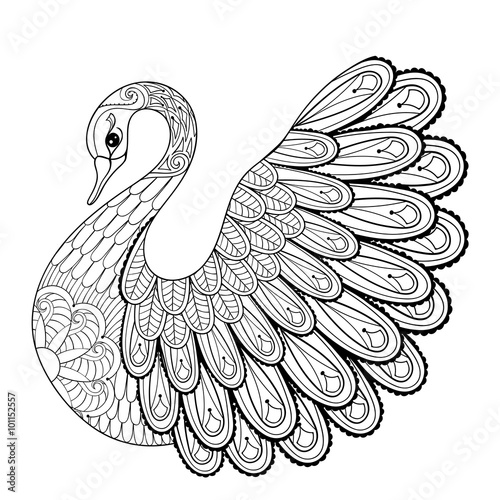 Hand drawing artistic Swan for adult coloring pages in doodle, z