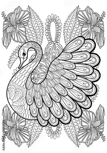Hand drawing artistic Swan in flowers for adult coloring pages A