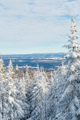 Beautiful snowy landscape in Quebec, Canada