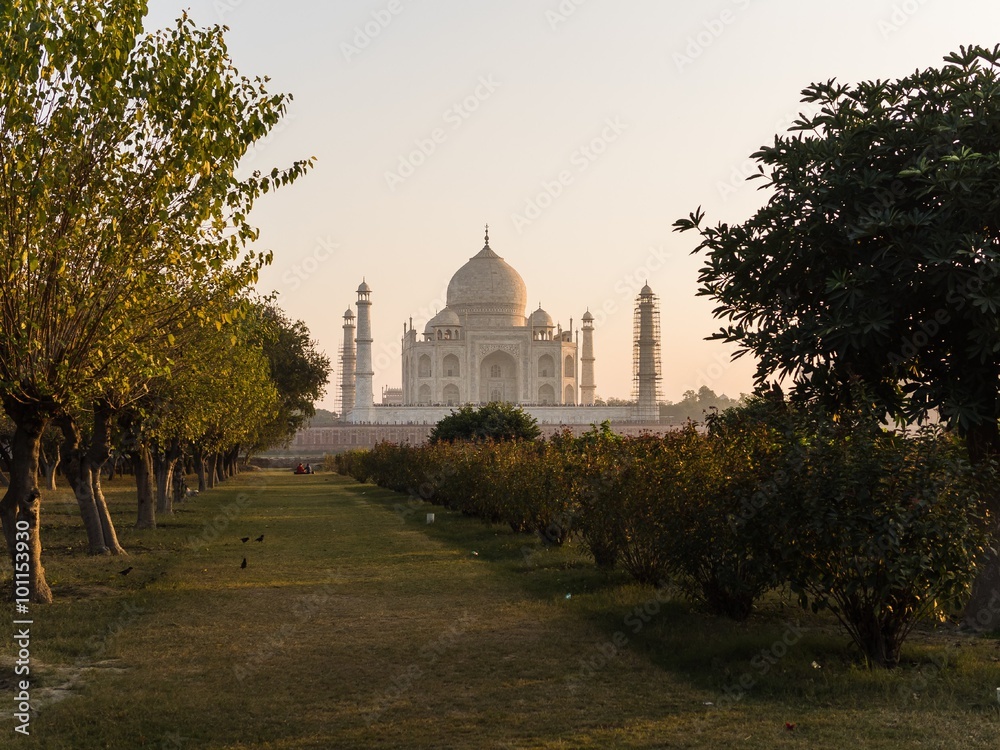 view from mehtab bagh to taj mahal