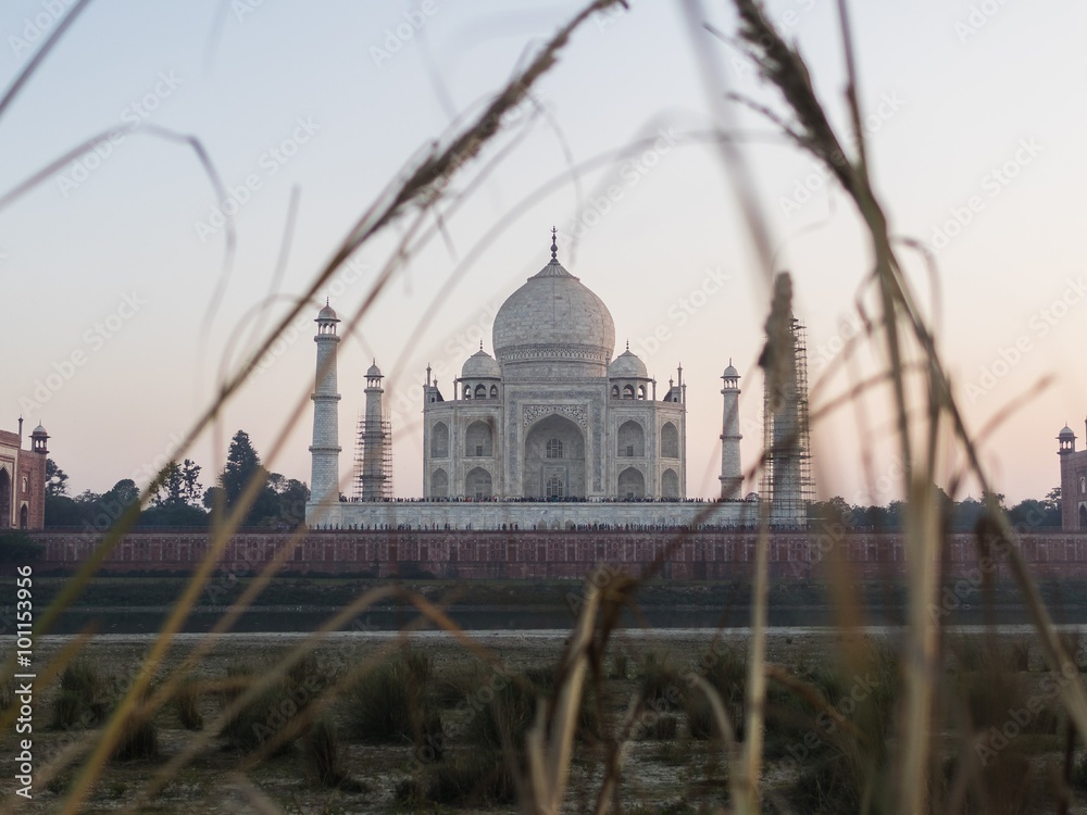 Fototapeta premium view from mehtab bagh to taj mahal