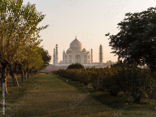 view from mehtab bagh to taj mahal photo