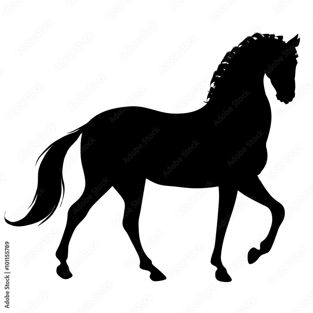 Naklejka black horse silhouette