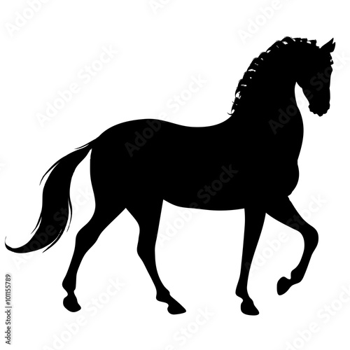 black horse silhouette 