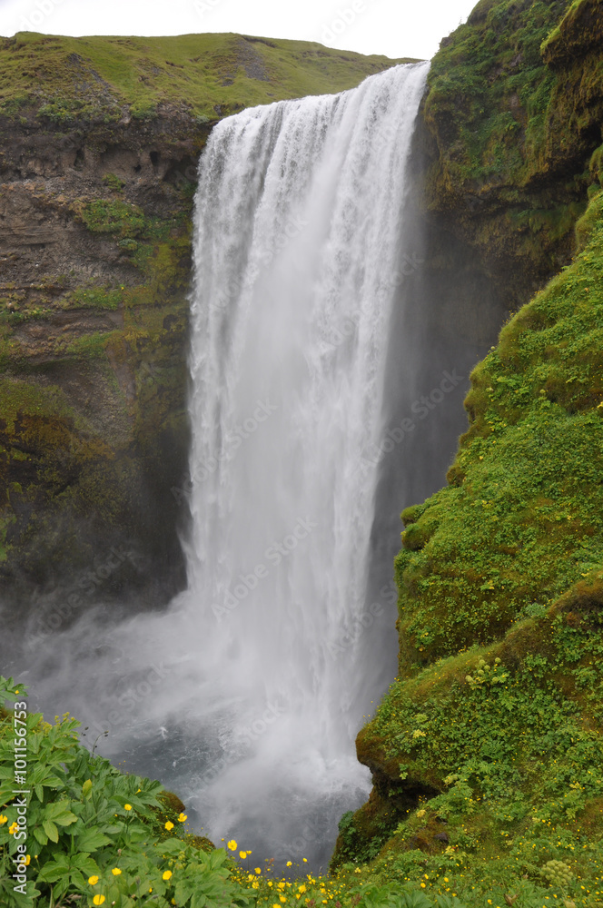 Obraz premium Skogafoss, Island