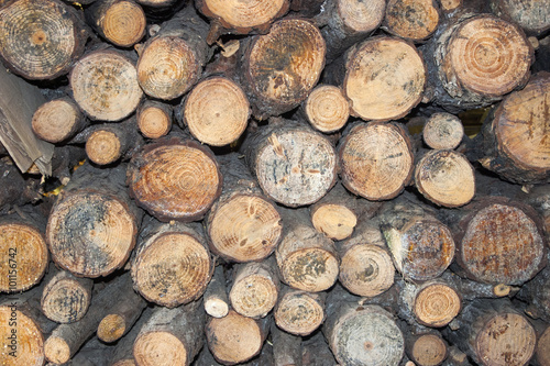 Firewood background front view