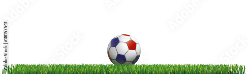 BALLON DE FOOT FRANÇAIS TERRAIN