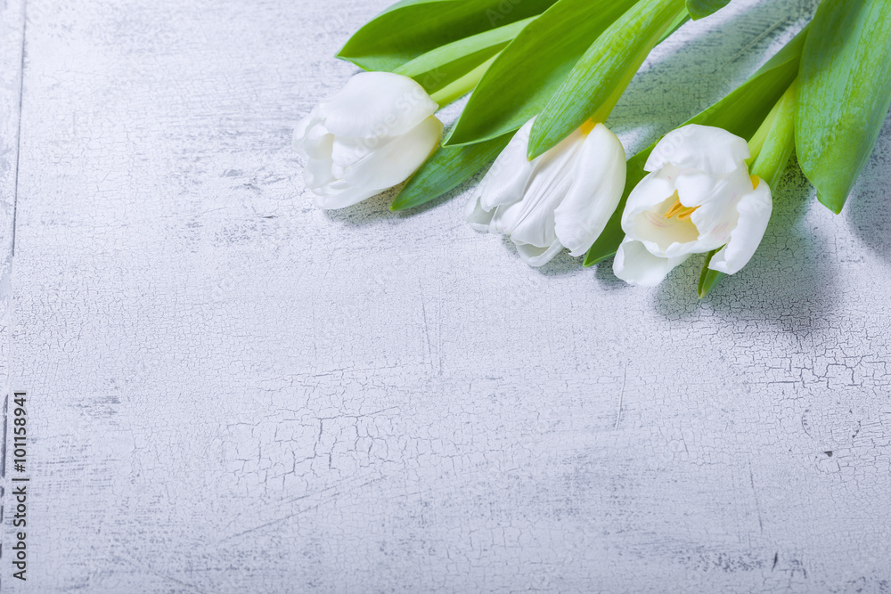 White tulips on wooden table White tulips on wooden table