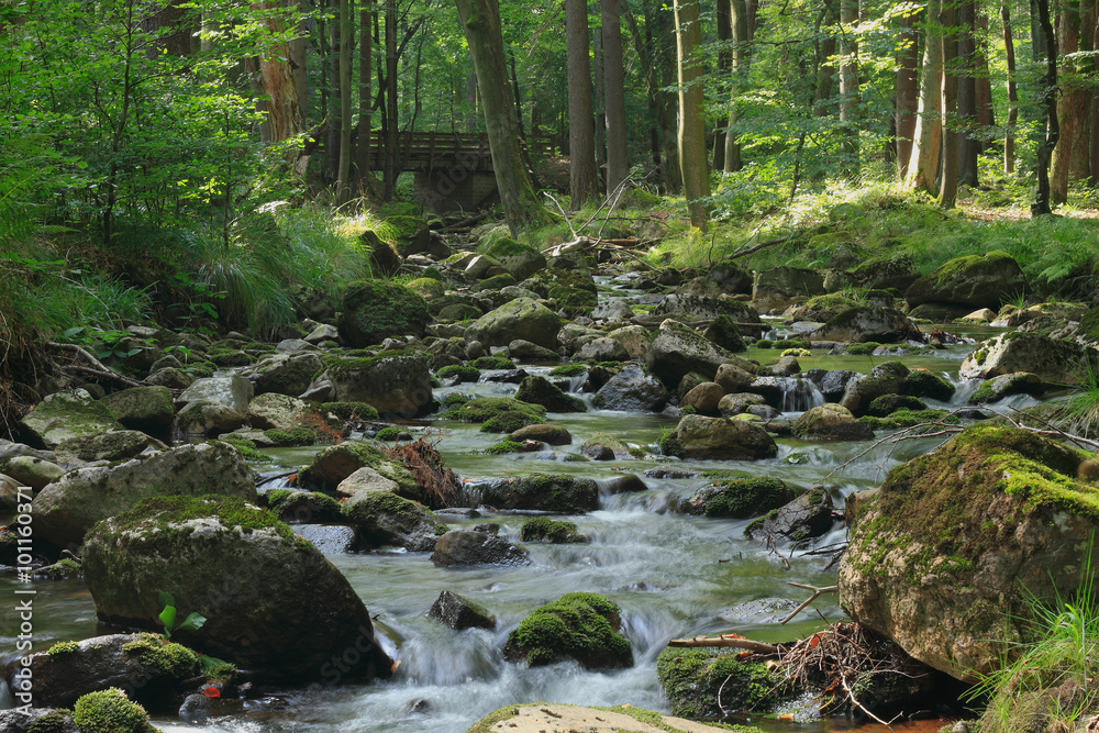 Mountain stream Mountain stream