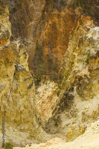 Steep, golden and amber walls of Grand Cayon of the Yellowstone River, with pine trees, Wyoming.
