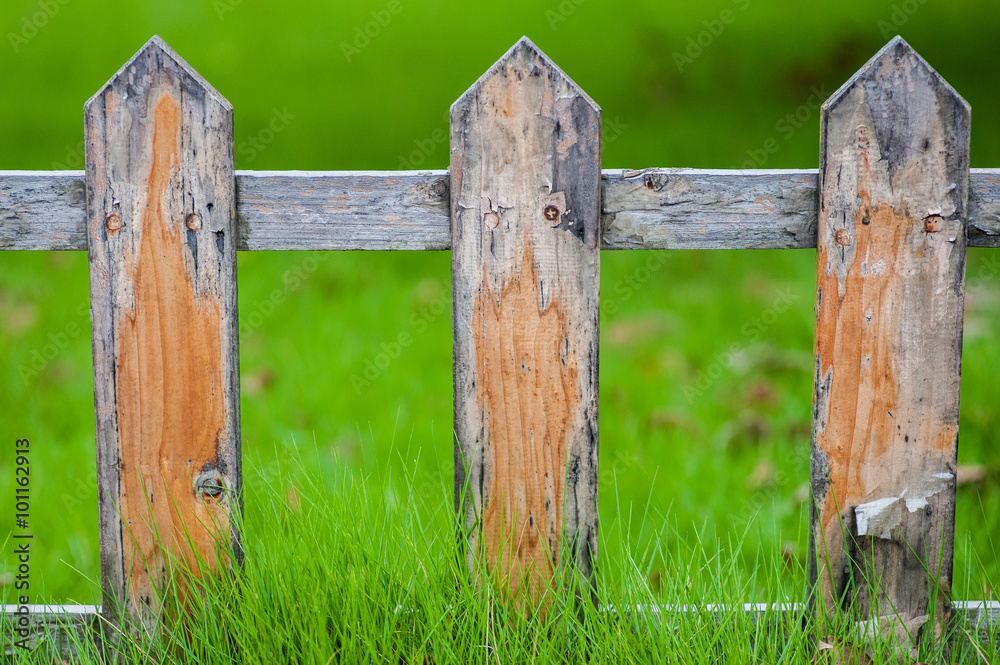 Old small fence on the green lawn in garden