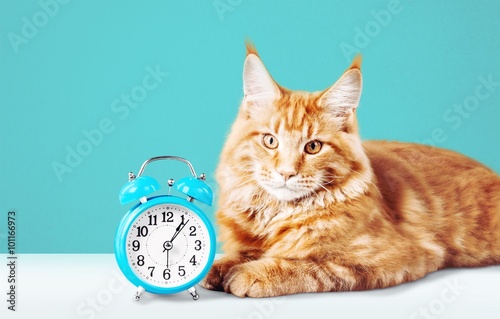 Foto Clock.