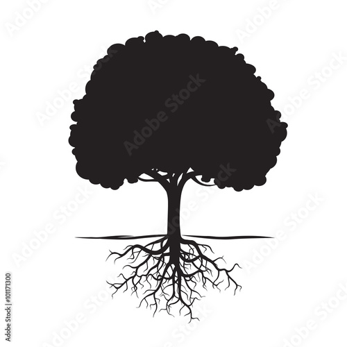 Black Tree and Roots. Vector Illustration.