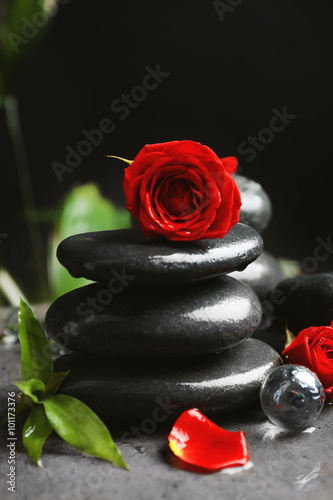 Beautiful spa composition with roses and stones
