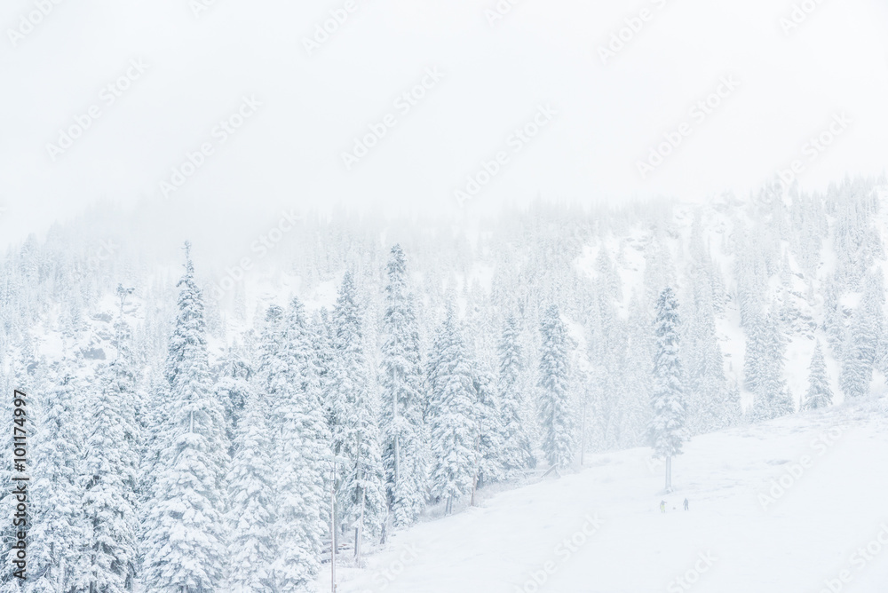 Fototapeta premium scenic view of small people walking in snow mountain.
