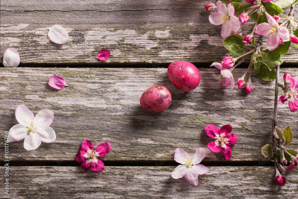 Easter eggs with apple flowers on wooden background