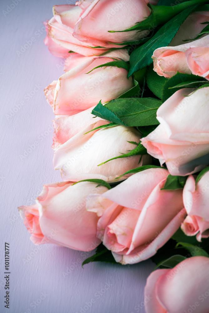 Fototapeta premium Beautiful roses for Valentines day.
